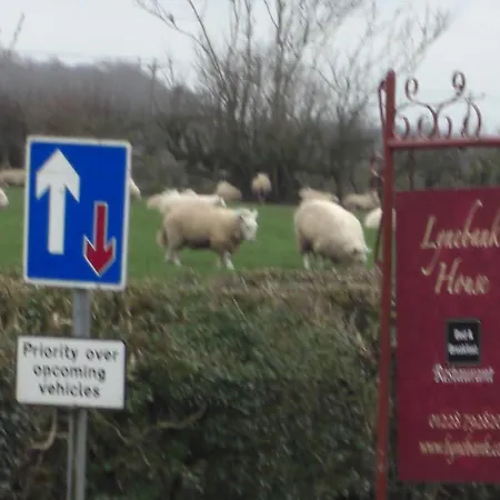 Lynebank House Hotel,
